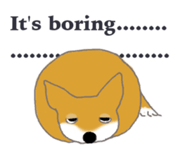 Shiba - English ! sticker #2186381