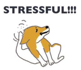 Shiba - English ! sticker #2186389