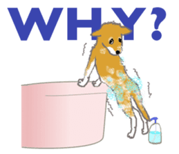 Shiba - English ! sticker #2186391