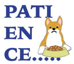 Shiba - English ! sticker #2186399