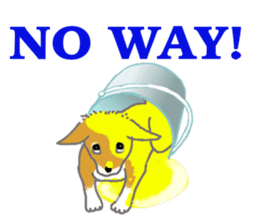 Shiba - English ! sticker #2186401