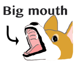 Shiba - English ! sticker #2186402