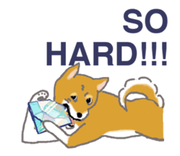 Shiba - English ! sticker #2186405