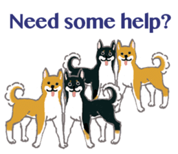 Shiba - English ! sticker #2186406