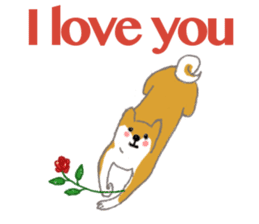 Shiba - English ! sticker #2186411