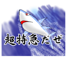 Cool Shark sticker #2187222