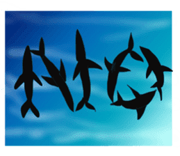 Cool Shark sticker #2187225