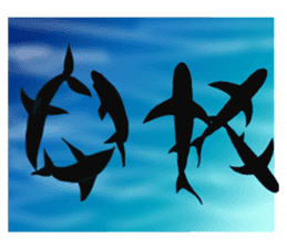 Cool Shark sticker #2187226