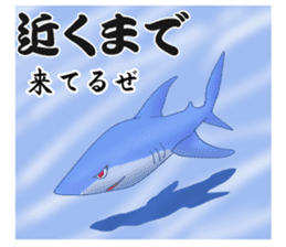 Cool Shark sticker #2187231