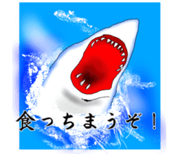 Cool Shark sticker #2187253