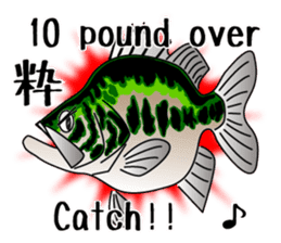 Black bass lure fishing sticker #2188996