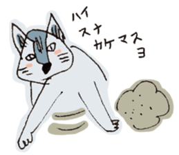 usupera's funny cats sticker #2189074