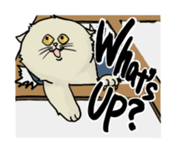 Cats meeting (English) sticker #2189481