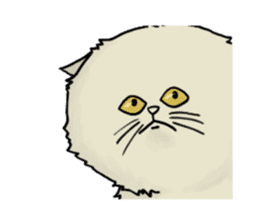 Cats meeting (English) sticker #2189500