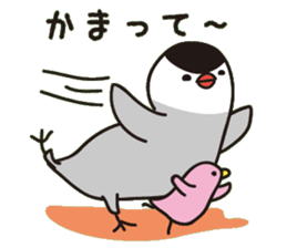 Java sparrow with pink bird sticker #2190045