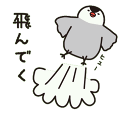 Java sparrow with pink bird sticker #2190056