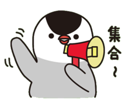Java sparrow with pink bird sticker #2190057