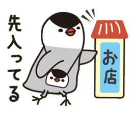 Java sparrow with pink bird sticker #2190063