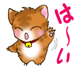 Brown cat thorala sticker #2190564