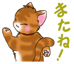 Brown cat thorala sticker #2190568