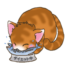 Brown cat thorala sticker #2190570