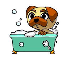 pretty pug (Only illustration ) sticker #2195929