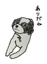 I am Shih Tzu sticker #2199908