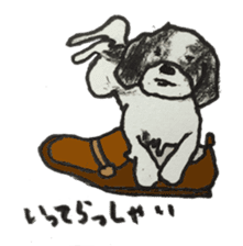 I am Shih Tzu sticker #2199909