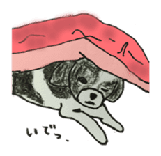 I am Shih Tzu sticker #2199910