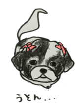 I am Shih Tzu sticker #2199911