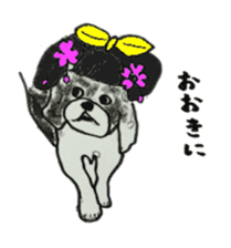 I am Shih Tzu sticker #2199912