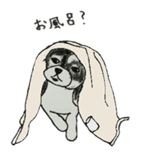 I am Shih Tzu sticker #2199915