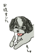 I am Shih Tzu sticker #2199916
