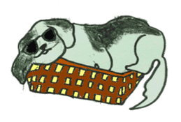 I am Shih Tzu sticker #2199920