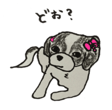 I am Shih Tzu sticker #2199922