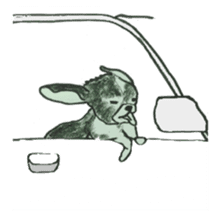 I am Shih Tzu sticker #2199923