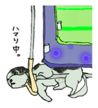 I am Shih Tzu sticker #2199929