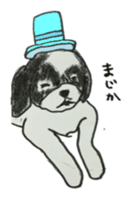 I am Shih Tzu sticker #2199931