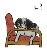 I am Shih Tzu sticker #2199937