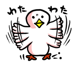 SHIRATORI duck (3) sticker #2200147