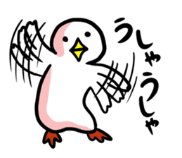 SHIRATORI duck (3) sticker #2200151