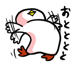 SHIRATORI duck (3) sticker #2200152