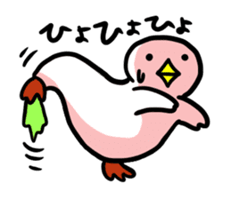 SHIRATORI duck (3) sticker #2200155