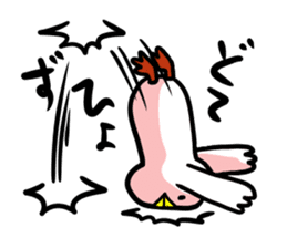 SHIRATORI duck (3) sticker #2200156