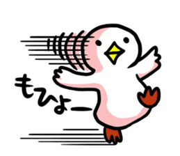 SHIRATORI duck (3) sticker #2200162