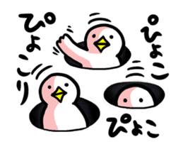 SHIRATORI duck (3) sticker #2200166
