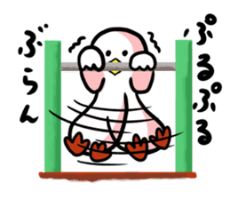 SHIRATORI duck (3) sticker #2200178