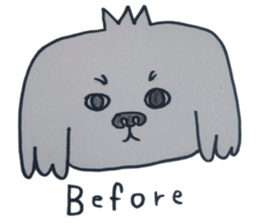 Shih tzu rarako sticker #2201184