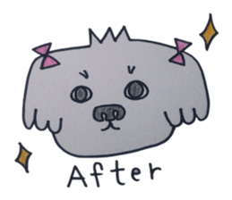 Shih tzu rarako sticker #2201185