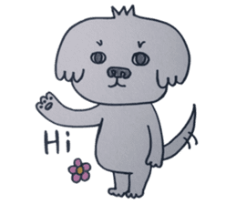 Shih tzu rarako sticker #2201186